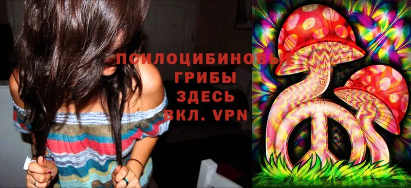 Псилоцибиновые грибы MAGIC MUSHROOMS  Мичуринск 